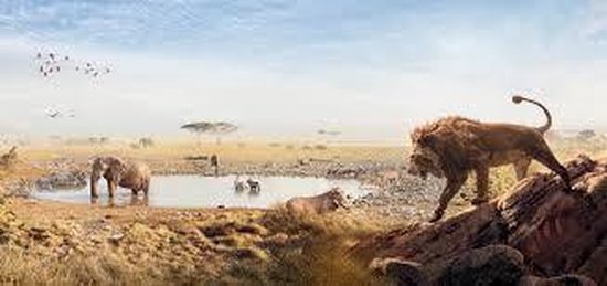 Serengeti