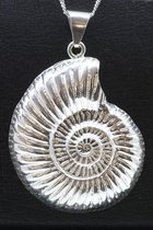 Zilveren Slakkenhuis ammoniet XL ketting hanger