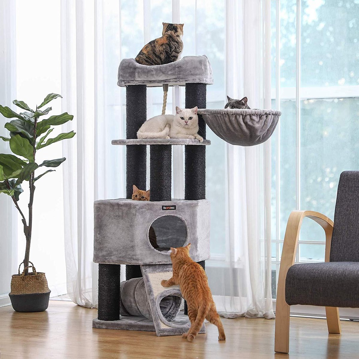 Poteau à chat extra large de luxe pour chats multiples avec maison et — free download