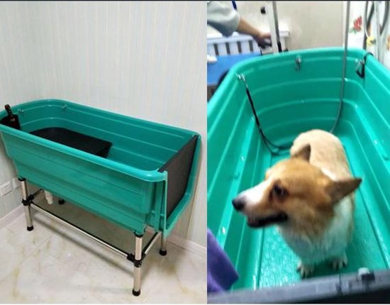 Baignoire Topmast pour chien en plastique vert sur pattes avec tuyau de  vidange - 60 x... | bol.com
