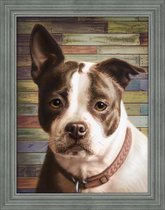 Diamond Painting Staffordshire Terrier 40x30