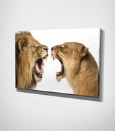 Lion And Lioness Canvas | 70x100 cm