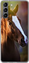 Geschikt voor Samsung Galaxy S21 hoesje - Paard - Licht - Vacht - Siliconen Telefoonhoesje
