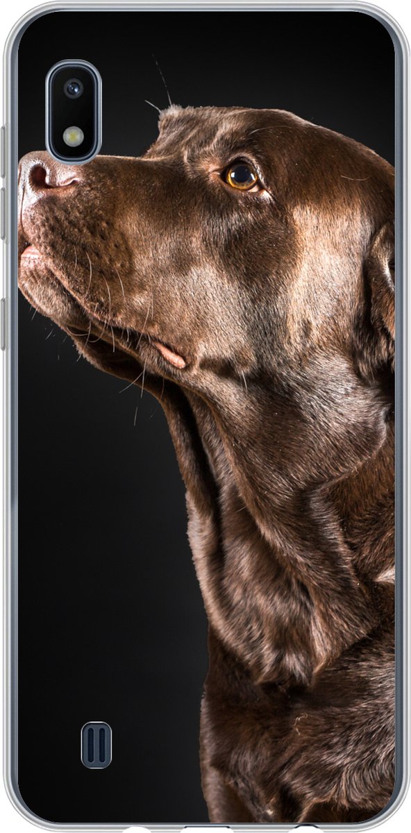 Telefoonhoesje Geschikt voor Samsung Galaxy A10 hoesje - Hond - Bruin - Portret - Siliconen Telefoonhoesje Telefoonhoesje