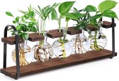 Plantenvermeerderingsstations met houten standaard, bolvaas voor indoor hydrocultuur bloemen