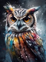 Lienz® Peinture de diamants adultes 30x40cm – Rond – Hibou – Complet – Forfait Adultes
