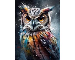 Lienz® Diamond Painting volwassenen 30x40cm – Rond – Uil – Volledig - Pakket Volwassenen