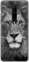 Geschikt voor OnePlus 7 Pro hoesje - Perzische leeuw op zwarte achtergrond in zwart-wit - Siliconen Telefoonhoesje