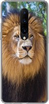 Geschikt voor OnePlus 7 Pro hoesje - Leeuw - Natuur - Dier - Siliconen Telefoonhoesje