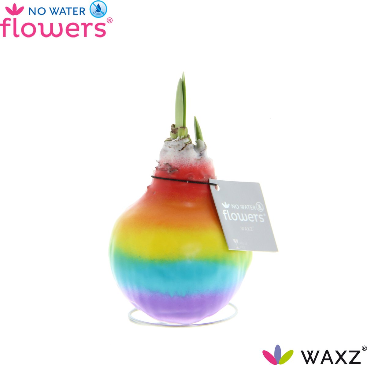 NWF® Waxz Rainbow