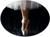 Dibond Ovaal - Ballerina - Balet - Schoenen - Dansen - 80x60 cm Foto op Ovaal (Met Ophangsysteem)