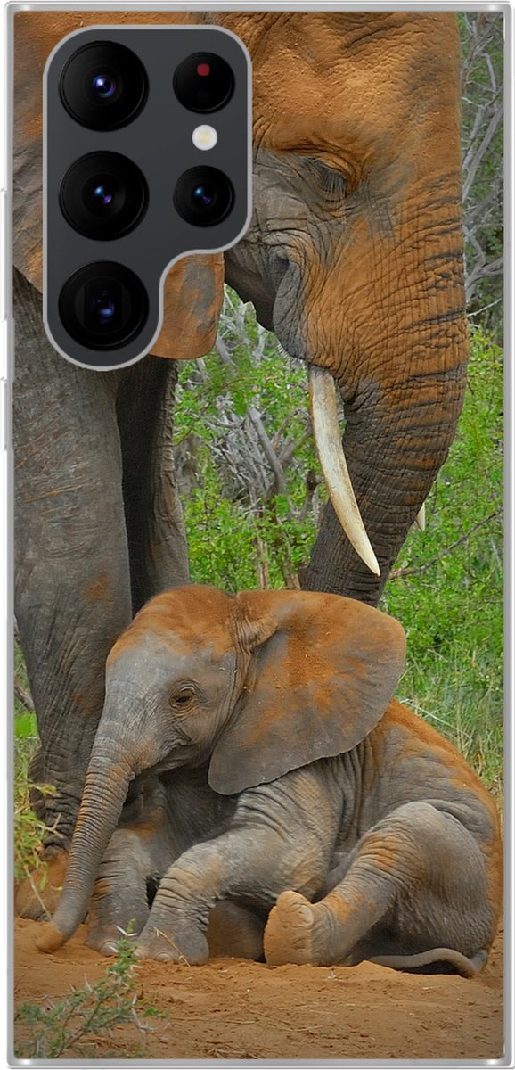 Telefoonhoesje Geschikt voor Samsung Galaxy S22 Ultra hoesje - Olifant - Dieren - Zand - Natuur - Siliconen Telefoonhoesje Telefoonhoesje