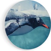 Artaza Forex Muurcirkel Pinguïn Zwemt in het Water - 70x70 cm - Wandcirkel - Rond Schilderij - Wanddecoratie Cirkel - Muurdecoratie