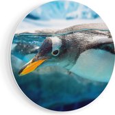 Artaza Forex Muurcirkel Pinguïn Zwemt Onder Water - 70x70 cm - Wandcirkel - Rond Schilderij - Wanddecoratie Cirkel - Muurdecoratie