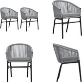 vidaXL Chaises de jardin 2 pcs PE Rotin Anthracite - Chaise de jardin - Chaises de jardin de jardin - Chaise d'extérieur - Siège d'extérieur