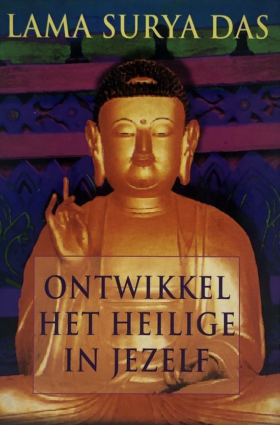 9789022530993 - Ontwikkel Het Heilige In Jezelf