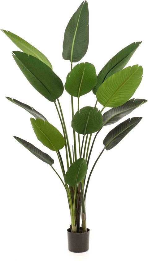 Kunstplant Strelitzia 190 cm