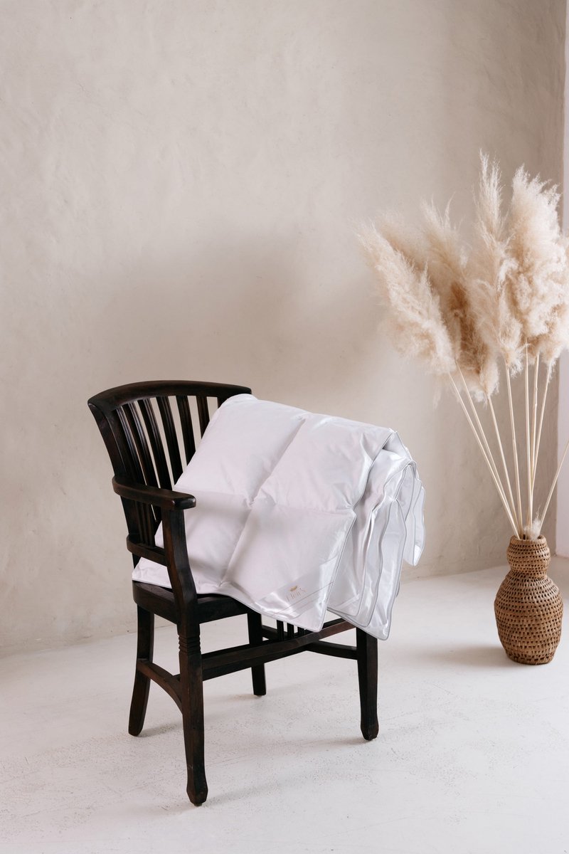 ASTER - Ganzendonzen