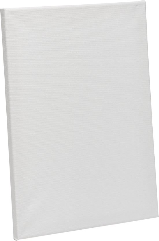 Canvas schildersdoek met lijst zilver 50 x 50 cm - schildersdoeken