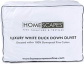 Homescapes couette de luxe tempérée printemps/automne en duvet de canard 10.5 tog - 135 x 200 cm