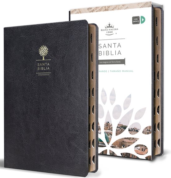 Omslag van Biblia Reina-Valera 1960 – letra grande negro