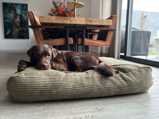 Dog's Companion - Couvre-lit pour chien velours côtelé géant olive - XL - 140x95cm