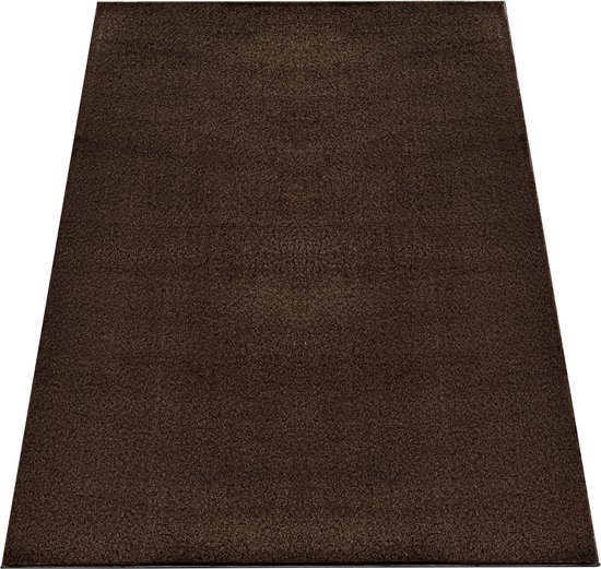 Tapiso Tapis câlin à poils longs marron antidérapant pour salon - 80 x 150 cm