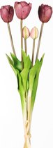 Real Touch Tulip Dubble Bundle x5 L44cm aubergine - Real Touch Tulpen - aubergine- Tulpen - Kunstbloemen - Kunst Tulpen - Kunst Boeket - Tulp - 44 CM - Zijden Bloemen - Latex Bloem - Bruiloft - Voorjaar - Lente