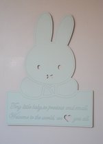 Nijntje Precious and Small - jongen wanddecoratie - Kinderkamer - unieke wanddecoratie - 30 x 40 cm