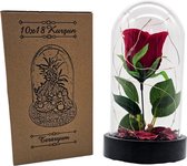 Romance Roos in Glazen Stolp - Luxe Roos met LED - Valentijnscadeau voor haar - Belle en het Beest