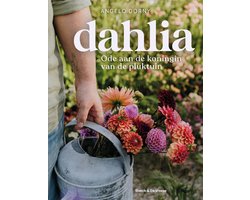 Dahlia