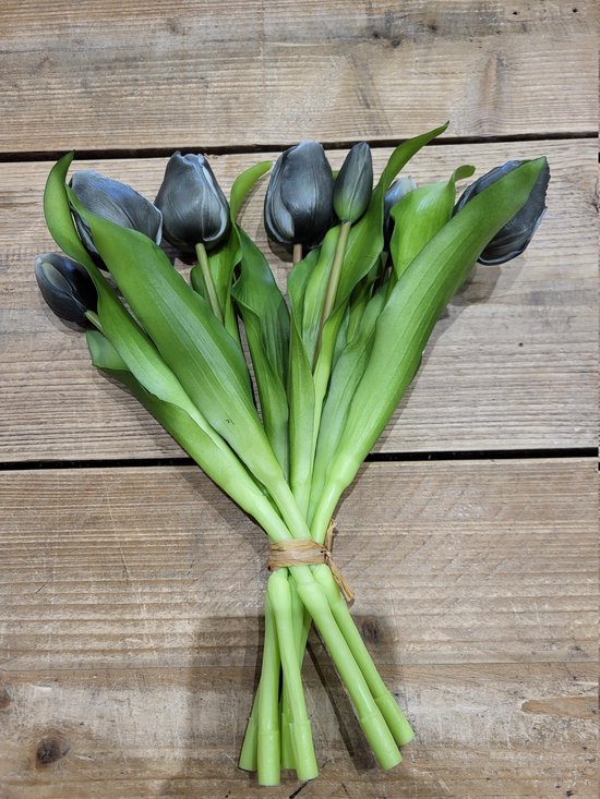 Tulpen wit/grijs korte steel