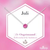 Bixorp Geboortesteen Ketting Juli - Zilverkleurig Roestvrij Staal met Zirkonia Hanger - Stainless Steel - Roze Robijn