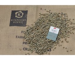 Indonesië Java Sunda Tilu coop lot - Direct Trade - ongebrande groene koffiebonen - 1 kg
