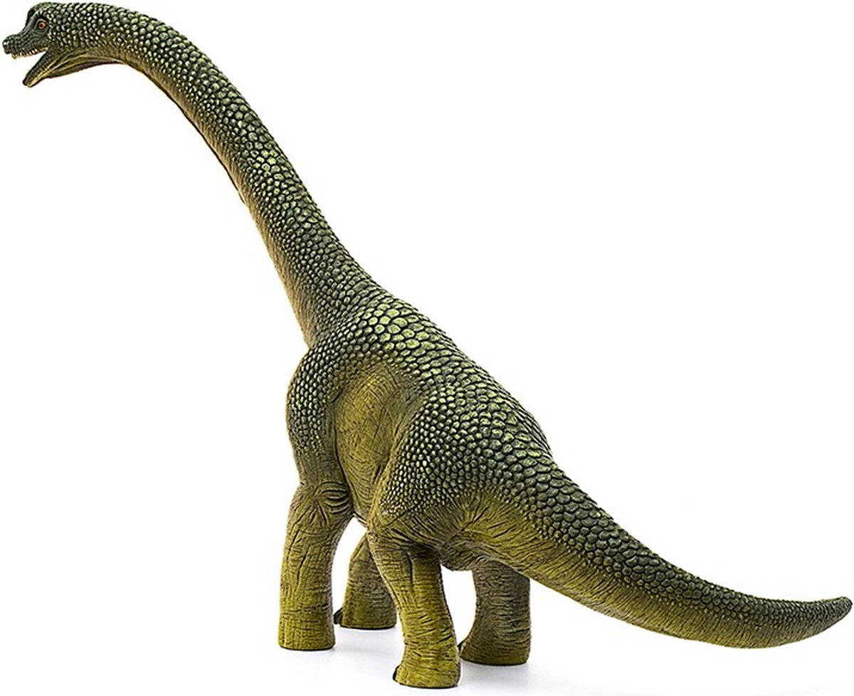 schleich DINOSAURUS Speelfiguur - Brachiosaurus - Dino Speelgoed - Kinderspeelgoed voor Jongens en Meisjes - vanaf 4 jaar - 14581 — afbeelding 10
