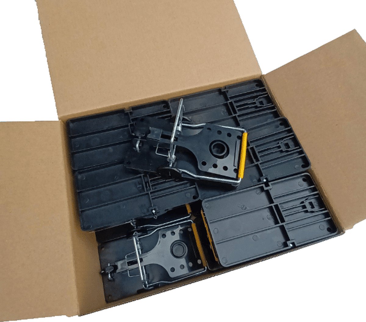 PestiNext Rattenklem 12 stuks Rattenval Budget Voordeel Box Effectieve Ongediertebestrijding