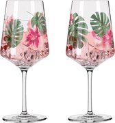 Aperitiefglazenset Kristalglas, 544 ml, vaatwasmachinebestendig, in geschenkverpakking, roze, groen, verpakking van 2 (1 verpakking)