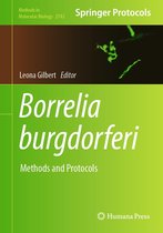 Methods in Molecular Biology 2742 - Borrelia burgdorferi