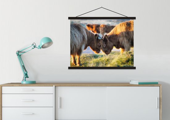 Porte-affiche avec affiche - Affiche scolaire - Highlanders écossais - Animaux - Soleil - 60x45 cm - Lattes noires