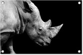 Tuindecoratie Portretfoto neushoorn op zwarte achtergrond in zwart-wit - 60x40 cm - Tuinposter - Tuindoek - Buitenposter