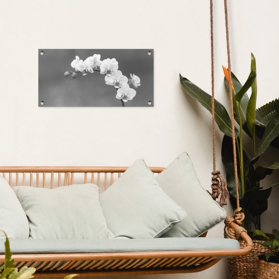 Poster de jardin Orchidée - Fleurs - Plante - Wit - Violet - 60x30 cm - Toile jardin - Poster extérieur