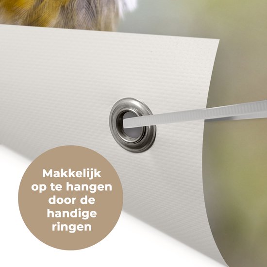 Tuinposter vogels - Roodborstje - Portret - Natuur - Tak - Tuindecoratie - Schuttingdoek - Schutting decoratie - Tuin - Tuinschilderij voor buiten - 50x50 cm - Tuindoek - Tuinposters buiten