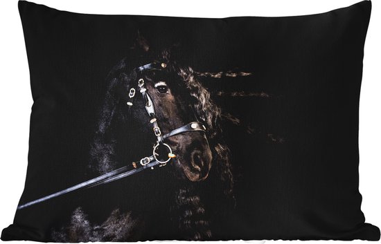 Buitenkussens - Tuin - Portret van een paard met lange manen op een zwarte achtergrond - 60x40 cm