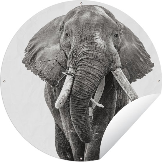 Tuincirkel Olifant - Portret - Dieren - Zwart wit - 60x60 cm - Ronde Tuinposter - Buiten