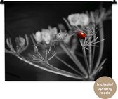 Wandkleed Rood zwart wit - Zwart-wit foto van een rode lieveheersbeestje op een plant Wandkleed katoen 90x67 cm - Wandtapijt met foto