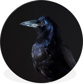 Cercle mural - Cercle mural - Vogel - Animaux - Zwart - Aluminium - ⌀ 120 cm - Intérieur et Extérieur XXL