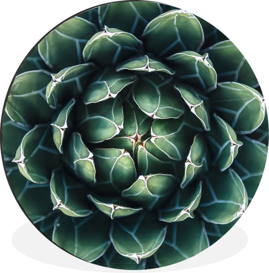 WallCircle - Wandcirkel - Muurcirkel - Een groene bloemdessin - Aluminium - Dibond - ⌀ 60 cm - Binnen en Buiten