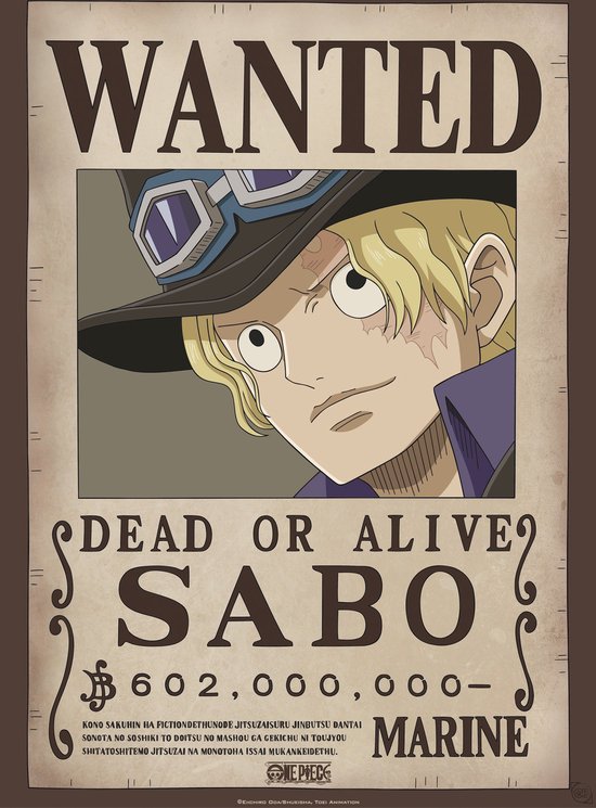 ONE PIECE WANTED Dead Or Alive Gol D. Roger Poster 20cm X 28cm EUR 5,74