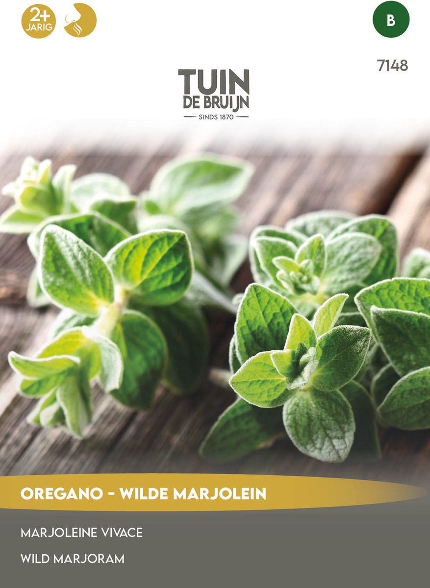 Tuin de Bruijn® zaden - Oregano - Wilde Marjolein - meerjarig - ca. 750 zaden - Tuin de Bruijn