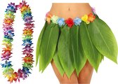 Hawaii verkleed hoela rokje en bloemenkrans met led - volwassenen - groen - tropisch themafeest